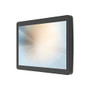 MicroTouch DT-100P-A1