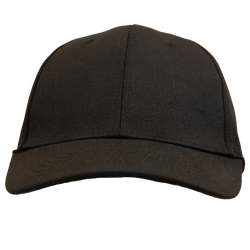 The Standard Dad Hat