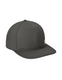 Carhartt Ashland Cap