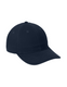 Port Authority Brushed T will Low Profile Cap