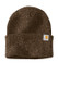Carhartt Watch Cap 2.0