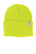 Carhartt Watch Cap 2.0