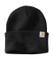 Carhartt Watch Cap 2.0