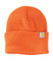 Carhartt Watch Cap 2.0