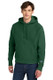 Champion Reverse Weave Hooded Sweatshirt