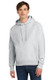 Champion Reverse Weave Hooded Sweatshirt