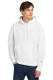 Champion Reverse Weave Hooded Sweatshirt