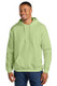 Gildan Softstyle Midweight Pullover Hooded Sweatshirt 1