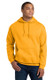 Gildan Heavy Blend Hooded Sweatshirt 1
