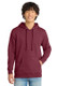 District V.I.T. Fleece Hoodie