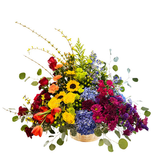 Rainbow Basket