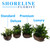 Dish Garden in Ceramic Pot size comparison