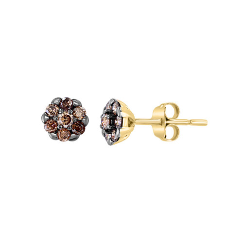 LALI Jewels Brown Diamond Stud Earrings (1/3 ct. t.w.) in 14K Yellow Gold