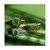 Costa Smeralda Emeralds (3/4 ct. t.w.) & Diamond (7/8 ct. t.w.) Multirow Ring in 14k Gold