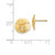 Sand Dollar Stud Earrings in 14k Gold