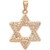 Braid-Style Star of David Pendant in 14k Gold, Created for Macy's