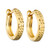 10k Gold Hoop Earrings