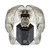 Men's Automatic Skeleton Spectre Black Silicone Strap Watch 42mm