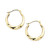 10k Gold Small Polished Swirl Hoop Earrings
