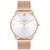 Women's Elliot Rose Gold-Tone Stainless Steel Mesh Bracelet Watch 36mm