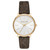 Women's Pyper Brown Logo Strap Watch 38mm