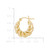 Polished Shrimp Design Hoop Earrings in 14k Yellow Gold