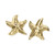 Patterned Starfish Stud Earrings in 10k Gold