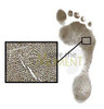 Inkless print detail from a Save The Moment handprint and footprint kit