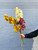 MARKET SPECIALS - cymbidium orchids