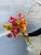 this is to show the array of colours for these cymbidium orchids