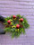 fresh advent wreath with candles