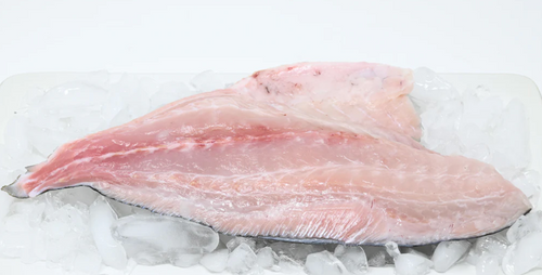 Wild caught Kanpachi fillet