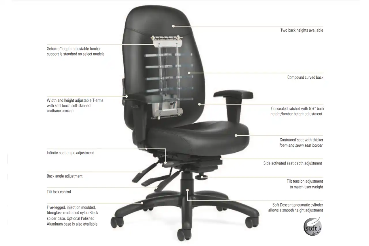 SwingSeat Pro Ergonomic Back Support Office Chair - Detailed Specification  Sheet