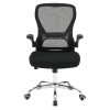 Mesh Back Manager's Chair, front view