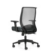 Lumi High Back Synchro-Tilter OTG11357, back view