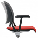 Novello Flexible Shell Back