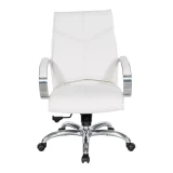 Deluxe Mid Back Executive Chair - 7271, front view