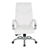 Deluxe High Back Executive Chair - 7250-R101, front view