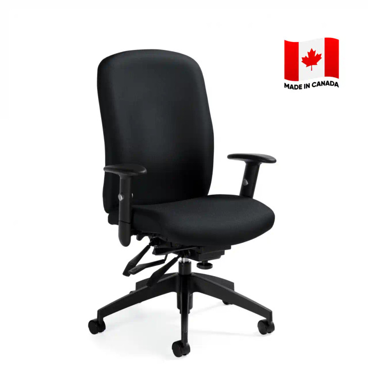 Truform® High Back Multi-Tilter - 5450-3.  Made in Canada