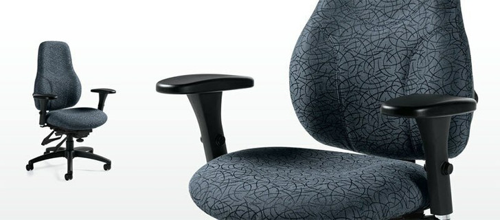 Tritek Ergo Select Extended High Back Multi-Tilter, Standard Seat (7482-3).  Global Chair. North York, feature