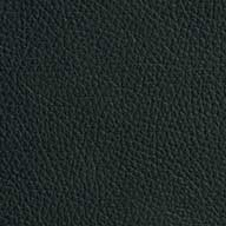36806 Professional Light AirGrid Back Chair, leather