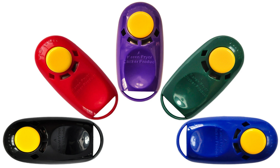 IClickers Bulk Vermont Pet Food and Supply