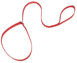 [Naturalcore] Dog Lead (Red) main image 0