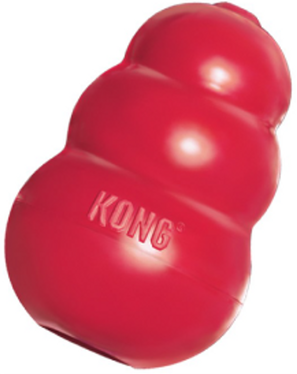 Kong t1 Large Red Kong Toy Dog Toy Vermont Pet Food and Supply