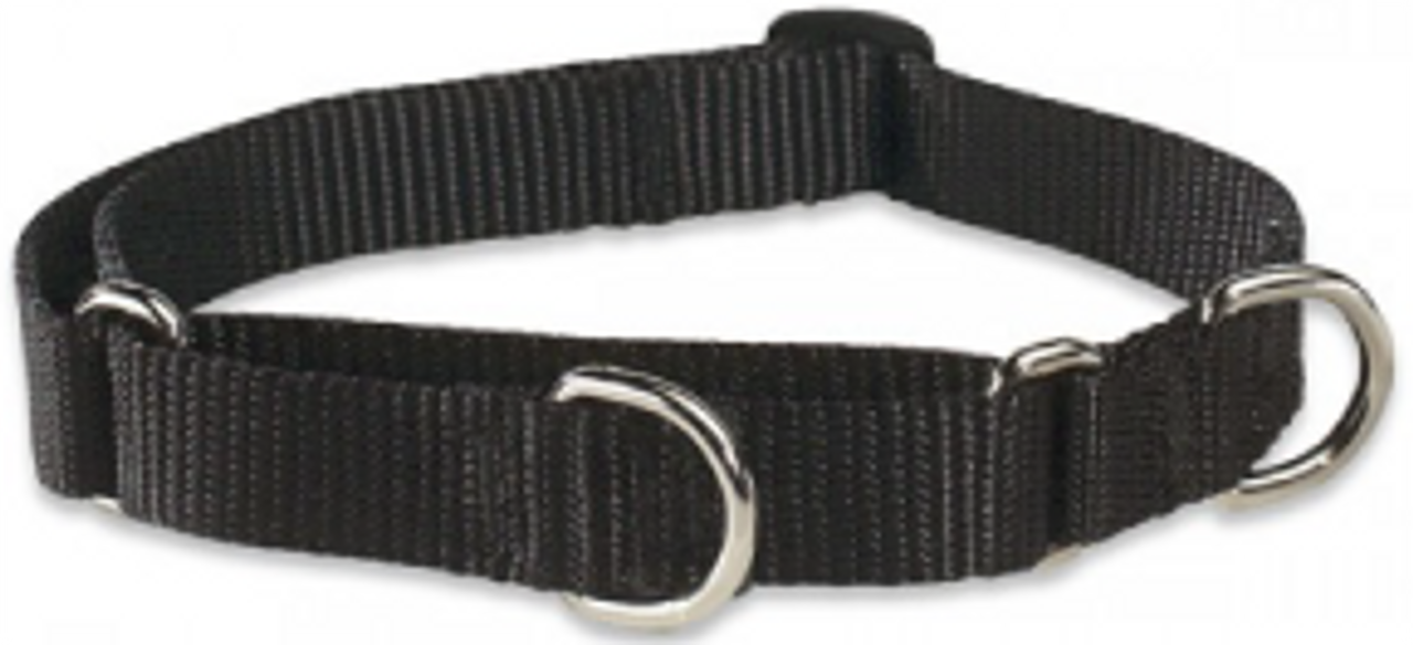 Lupine Combo Collar Black 1" 1422 Vermont Pet Food and Supply