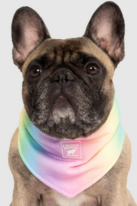 Chill Seeker Cooling Bandana Rainbow Small