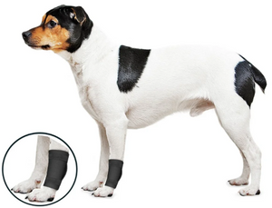 ZenPet Ligament Protector Universal  Medium
