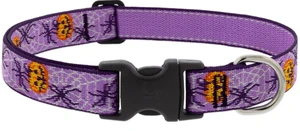 Lupine Adjustable Collar Trick or Treat 1" 12-20