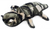 Zippy Paws Grunterz Camron Gator Dog Toy