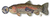 Steel Dog Dog Toy Denim Fish Rainbow Trout